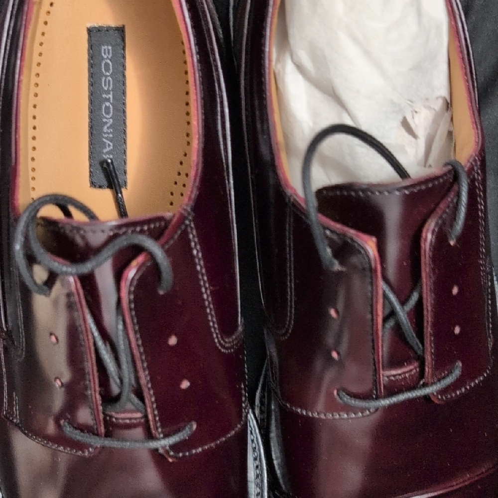 Bostonian Dark Burgundy Leather Shoes